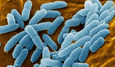 آزمایشگاه تشخیص طبی در اصفهان ، آزمایش زگیل تناسلی ، آزمایشات بارداری در اصفهان ، بهترین آزمایشگاه در اصفهان ، آزمایش hpv در اصفهان ، آزمایش کبد چرب ، بهترین آزمایشگاه اصفهان