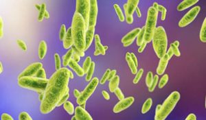 آزمایشگاه تشخیص طبی در اصفهان ، آزمایش زگیل تناسلی ، آزمایشات بارداری در اصفهان ، بهترین آزمایشگاه در اصفهان ، آزمایش hpv در اصفهان ، آزمایش کبد چرب ، بهترین آزمایشگاه اصفهان