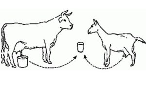 آزمایشگاه تشخیص طبی در اصفهان ، آزمایش زگیل تناسلی ، آزمایشات بارداری در اصفهان ، بهترین آزمایشگاه در اصفهان ، آزمایش hpv در اصفهان ، آزمایش کبد چرب ، بهترین آزمایشگاه اصفهان