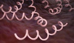 آزمایشگاه تشخیص طبی در اصفهان ، آزمایش زگیل تناسلی ، آزمایشات بارداری در اصفهان ، بهترین آزمایشگاه در اصفهان ، آزمایش hpv در اصفهان ، آزمایش کبد چرب ، بهترین آزمایشگاه اصفهان