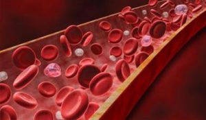 آزمایشگاه تشخیص طبی در اصفهان ، آزمایش زگیل تناسلی ، آزمایشات بارداری در اصفهان ، بهترین آزمایشگاه در اصفهان ، آزمایش hpv در اصفهان ، آزمایش کبد چرب ، بهترین آزمایشگاه اصفهان