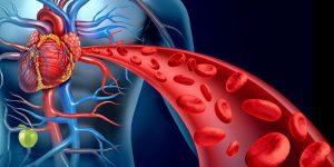 آزمایش LDL